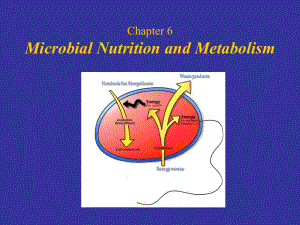 Chapter-6-Microbial-Nutrition-and-Metabolism-微生物学-教学课件-英文版.ppt