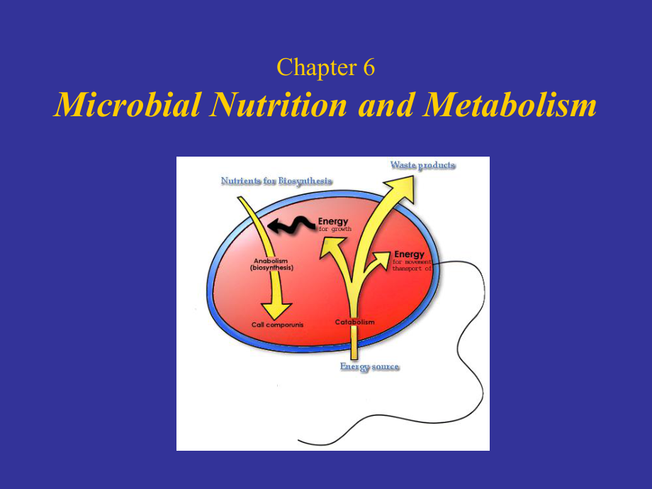 Chapter-6-Microbial-Nutrition-and-Metabolism-微生物学-教学课件-英文版.ppt_第1页