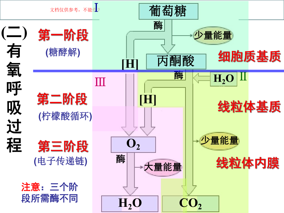 一轮复习ATP的主要来源细胞呼吸培训课件.ppt_第3页