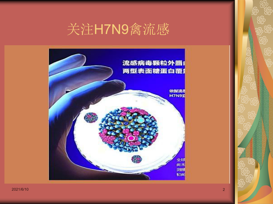 《禽流感知识培训》课件.ppt_第2页