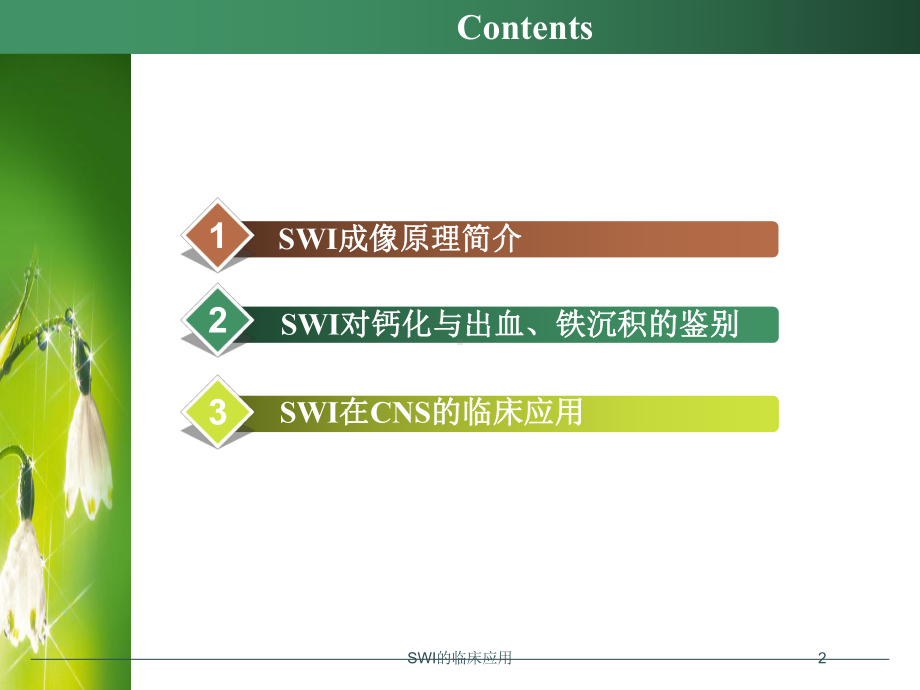 SWI的临床应用培训课件.ppt_第2页