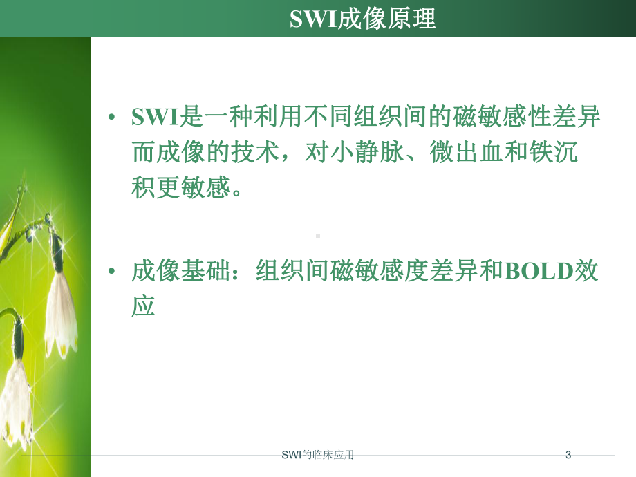 SWI的临床应用培训课件.ppt_第3页