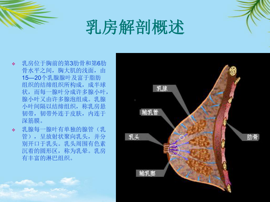 中医培训教程-常见乳房病的诊与治课件.ppt_第2页