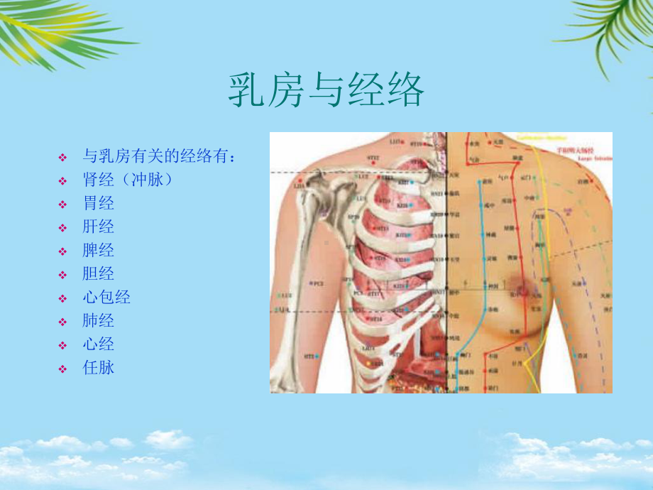 中医培训教程-常见乳房病的诊与治课件.ppt_第3页