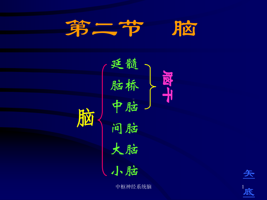 中枢神经系统脑课件.ppt_第1页