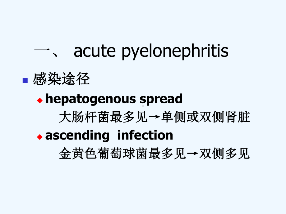 临床医学泌尿系统课件.ppt_第2页