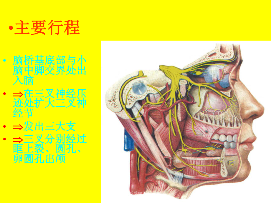 三叉神经痛医学知识专题讲座培训课件.ppt_第3页