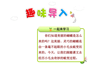 部编新人教版二年级语文下册优秀课件：22小毛虫（第1课时）.pptx