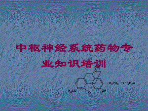 中枢神经系统药物专业知识培训培训课件.ppt