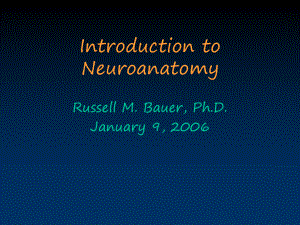 Clinically-Relevant-Functional-Neuroanatomy临床相关的功能性神经解剖学课件.ppt