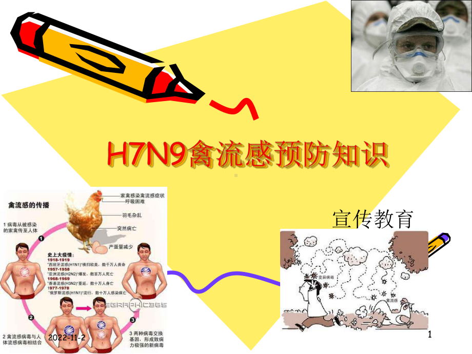 HN禽流感预防专题知识课件.ppt_第1页