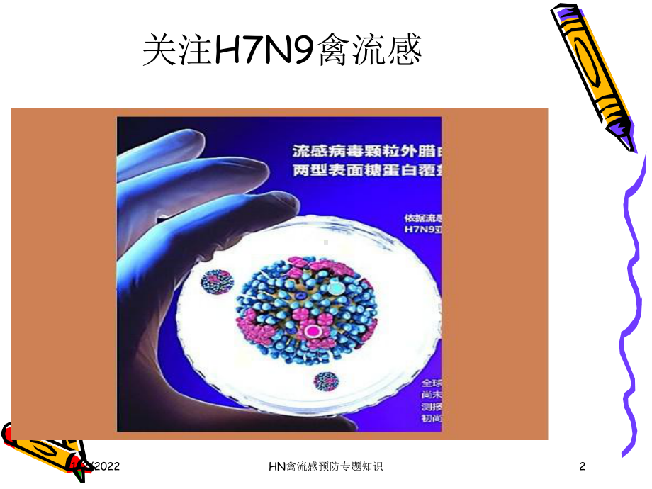 HN禽流感预防专题知识课件.ppt_第2页