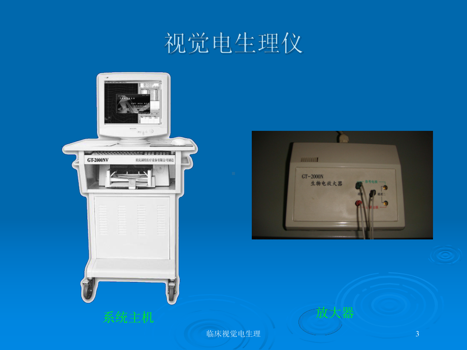 临床视觉电生理培训课件.ppt_第3页