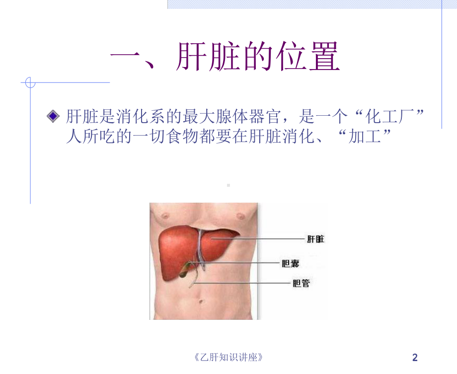 《乙肝知识讲座》课件.ppt_第2页