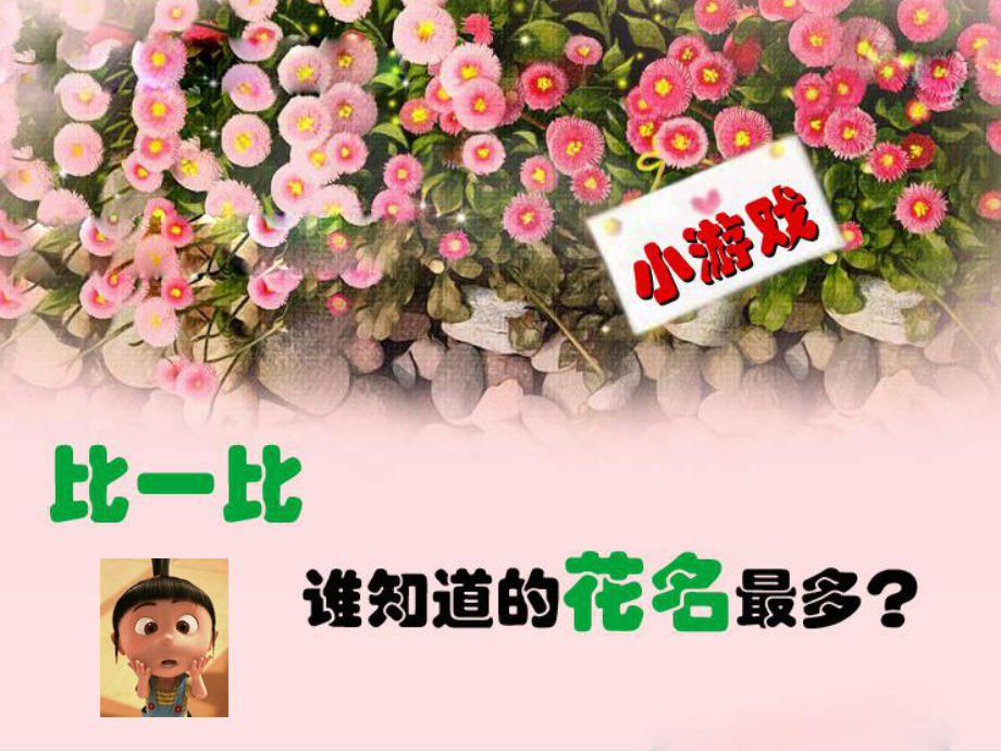 美丽的花课件-.ppt_第2页