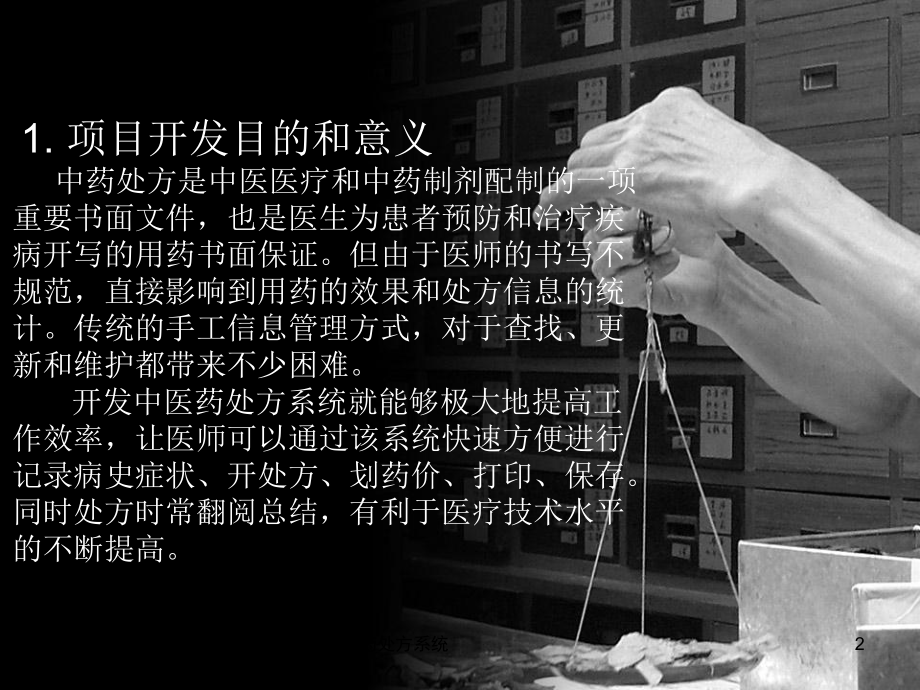 中医药处方系统课件.ppt_第2页