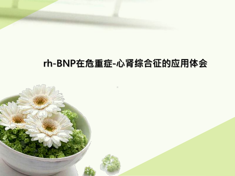 rhbn在危重症心肾综合征的应用体会课件.pptx_第1页