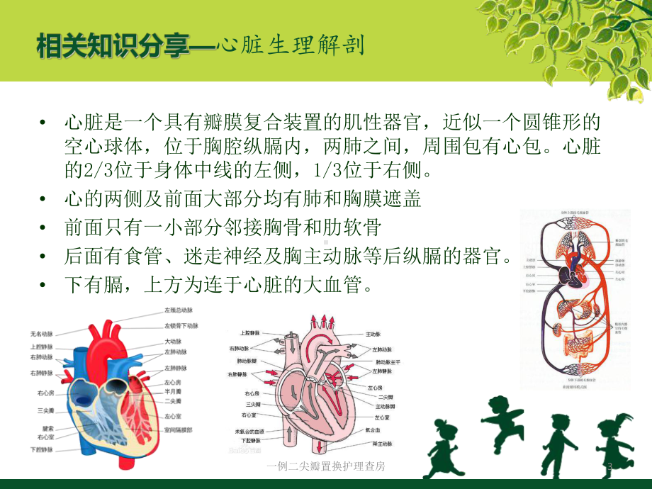 一例二尖瓣置换护理查房培训课件.ppt_第3页