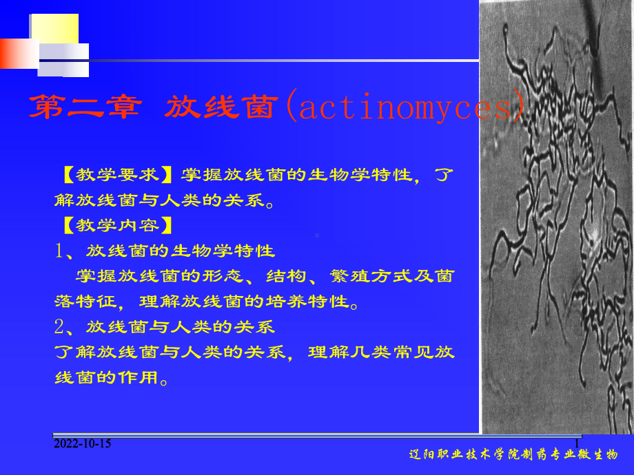 （医学课件之抗生素）放线菌(actinomyces).ppt_第1页