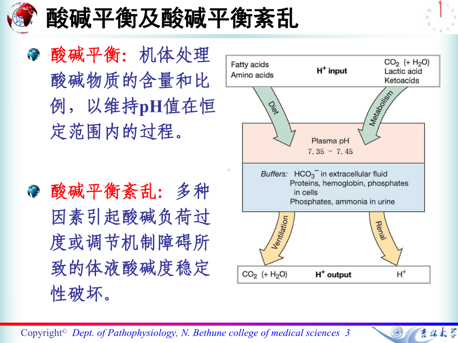 七科联考病理生理学第四章-酸碱平衡紊乱2课件.ppt_第3页