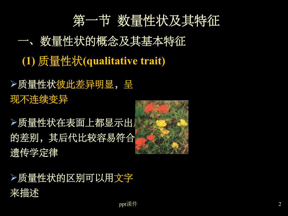 《数量遗传分析》课件.ppt_第2页