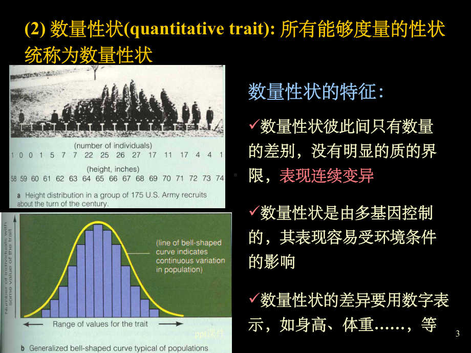 《数量遗传分析》课件.ppt_第3页