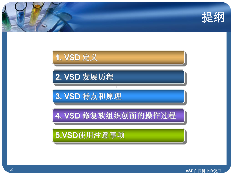 VSD在骨科中的使用培训课件.ppt_第2页