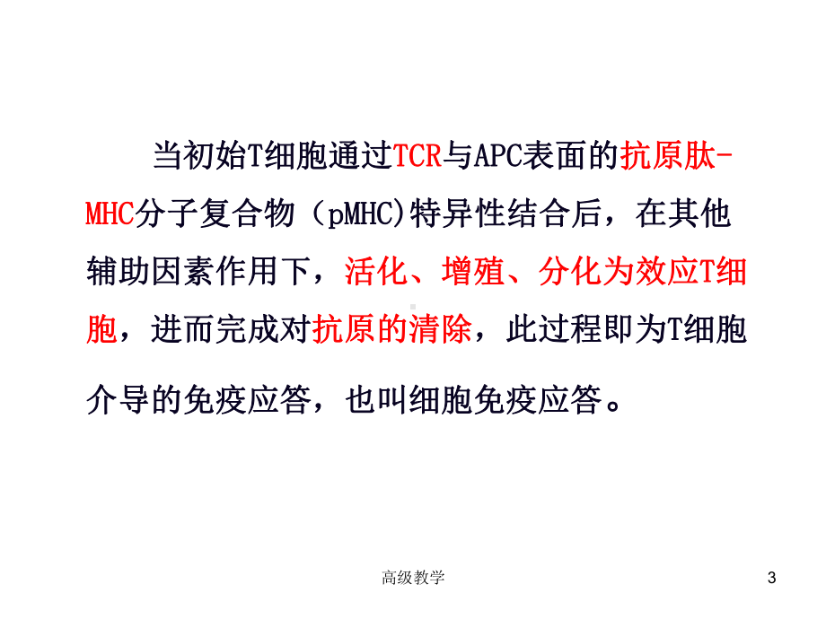 T细胞免疫应答(专业技术)课件.ppt_第3页