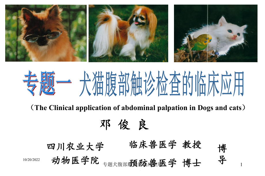 专题犬腹部触诊的临床应用培训课件.ppt_第1页