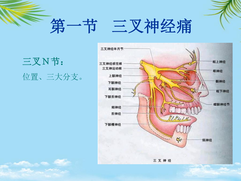 三叉神经痛课件全面版.ppt_第2页