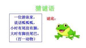 部编版小学语文二年级上册-1-小蝌蚪找妈妈-课件.ppt