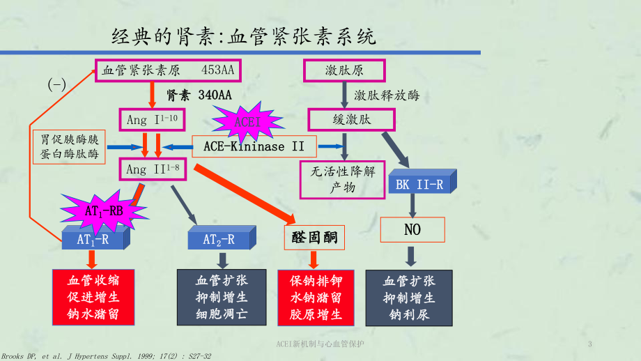 ACEI新机制与心血管保护课件.pptx_第3页