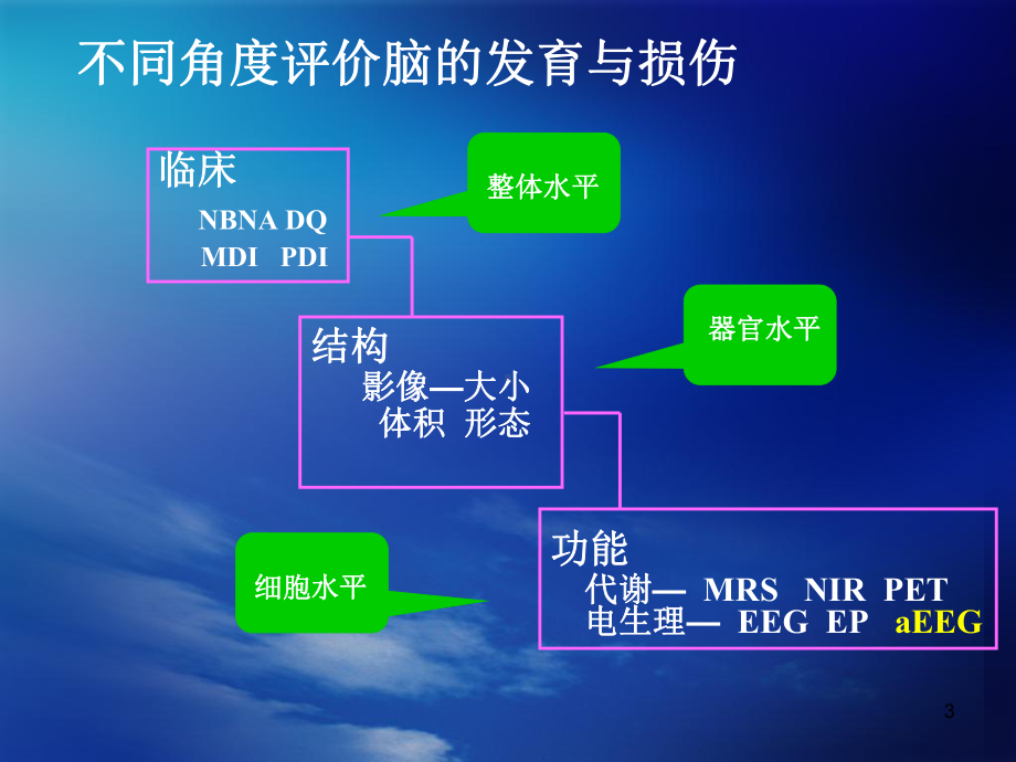 aEEG对新生儿脑功能监测意义医学课件.ppt_第3页