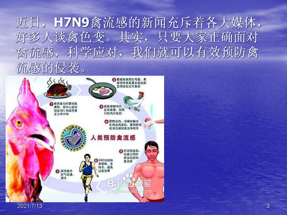 H7N9禽流感的预防课件.ppt_第3页