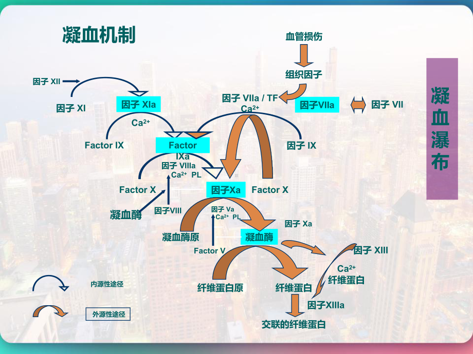 AT和DDimer的临床应用进展-课件.pptx_第2页