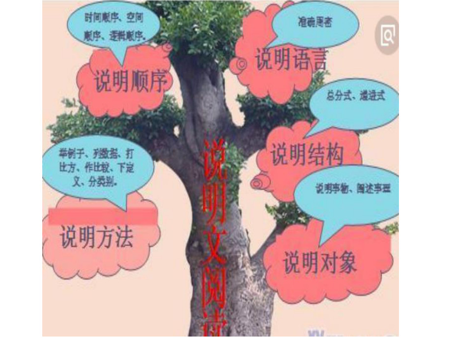 说明文阅读训练4-说明文语言分析(下载有答案)课件.pptx_第2页