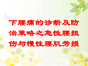 下腰痛的诊断及防治策略之急性腰扭伤与慢性腰肌劳损培训课件.ppt