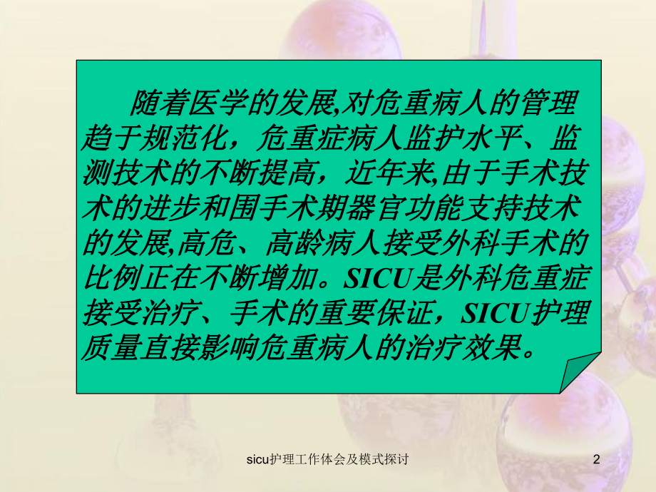 sicu护理工作体会及模式探讨课件.ppt_第2页