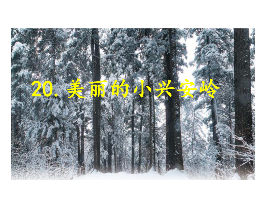 部编人教版三年级语文上册课件：20美丽的小兴安岭人教(部编版)(共25张).ppt_第1页