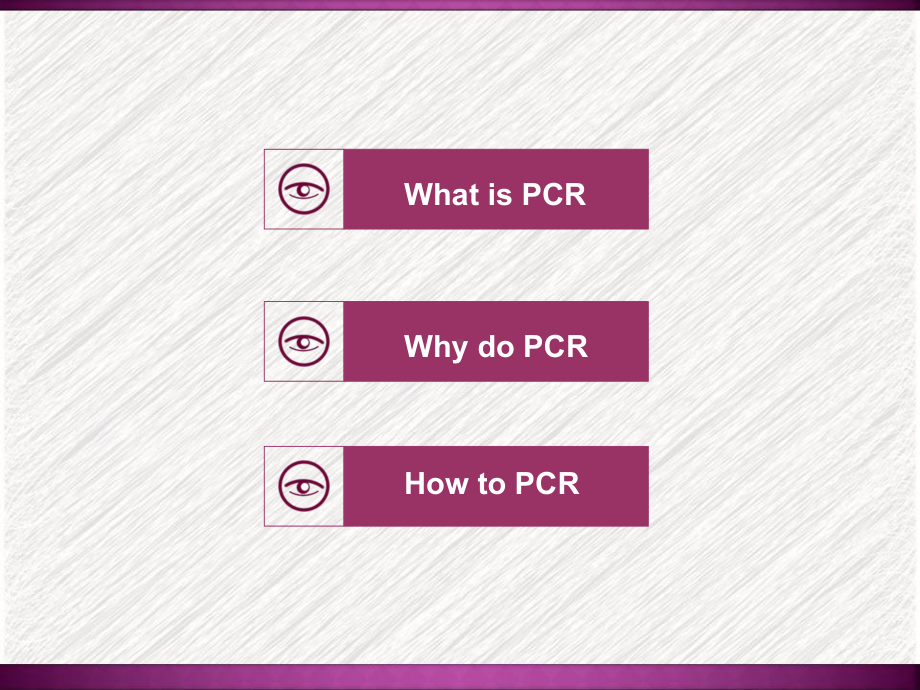 PCR技术在医学中的应用-课件.ppt_第2页