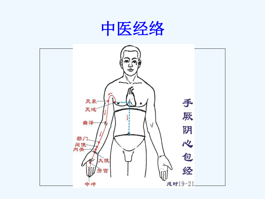 心包经的走向图图片