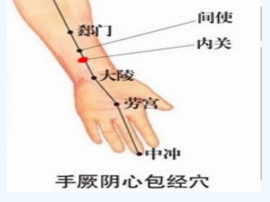 中医文化手厥阴心包经剖析课件.ppt_第3页