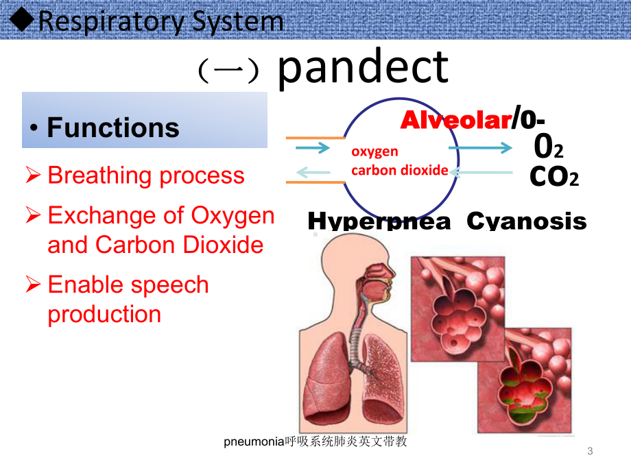 pneumonia呼吸系统肺炎英文带教课件.ppt_第3页