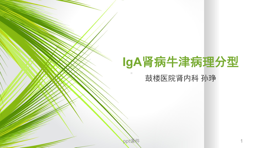 IgA肾病牛津分型-课件.ppt_第1页