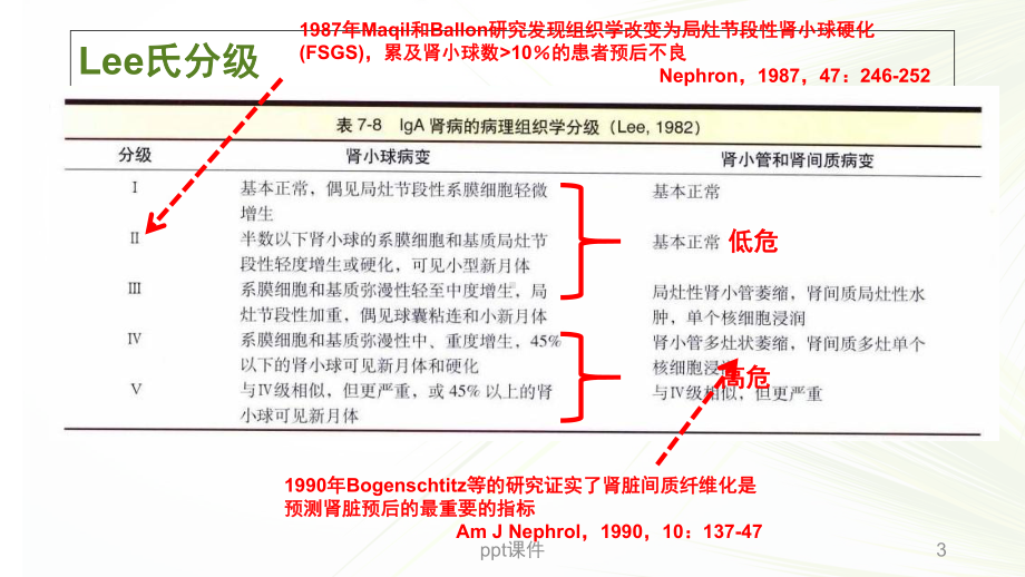 IgA肾病牛津分型-课件.ppt_第3页