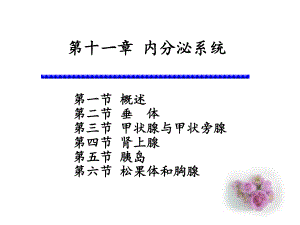 系统解剖学-内分泌系统课件.ppt