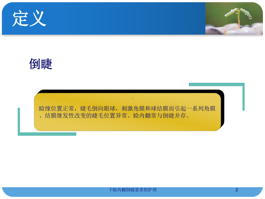 下睑内翻倒睫患者的护理培训课件.ppt_第2页