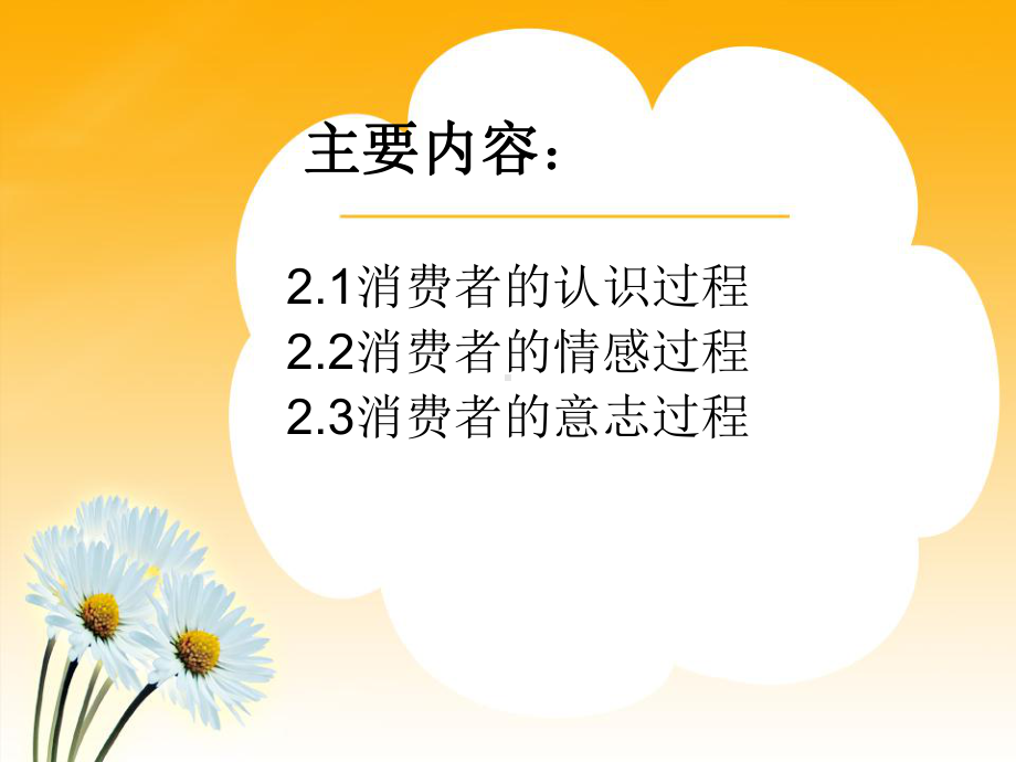 第二章消费者的一般心理过程课件.ppt_第2页