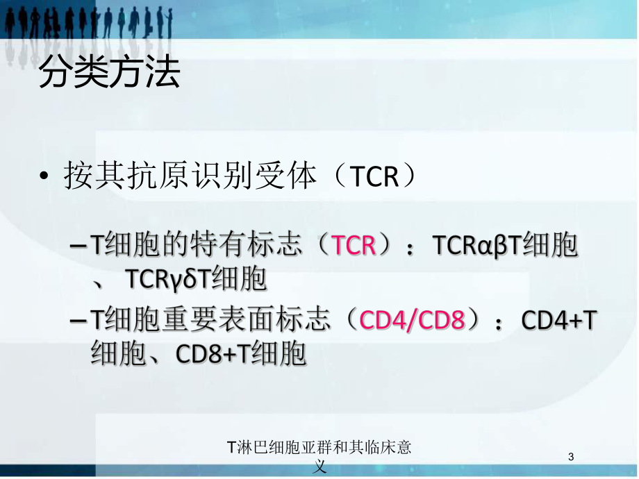 T淋巴细胞亚群和其临床意义培训课件.ppt_第3页