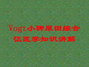 Vogt小柳原田综合征医学知识讲解培训课件.ppt